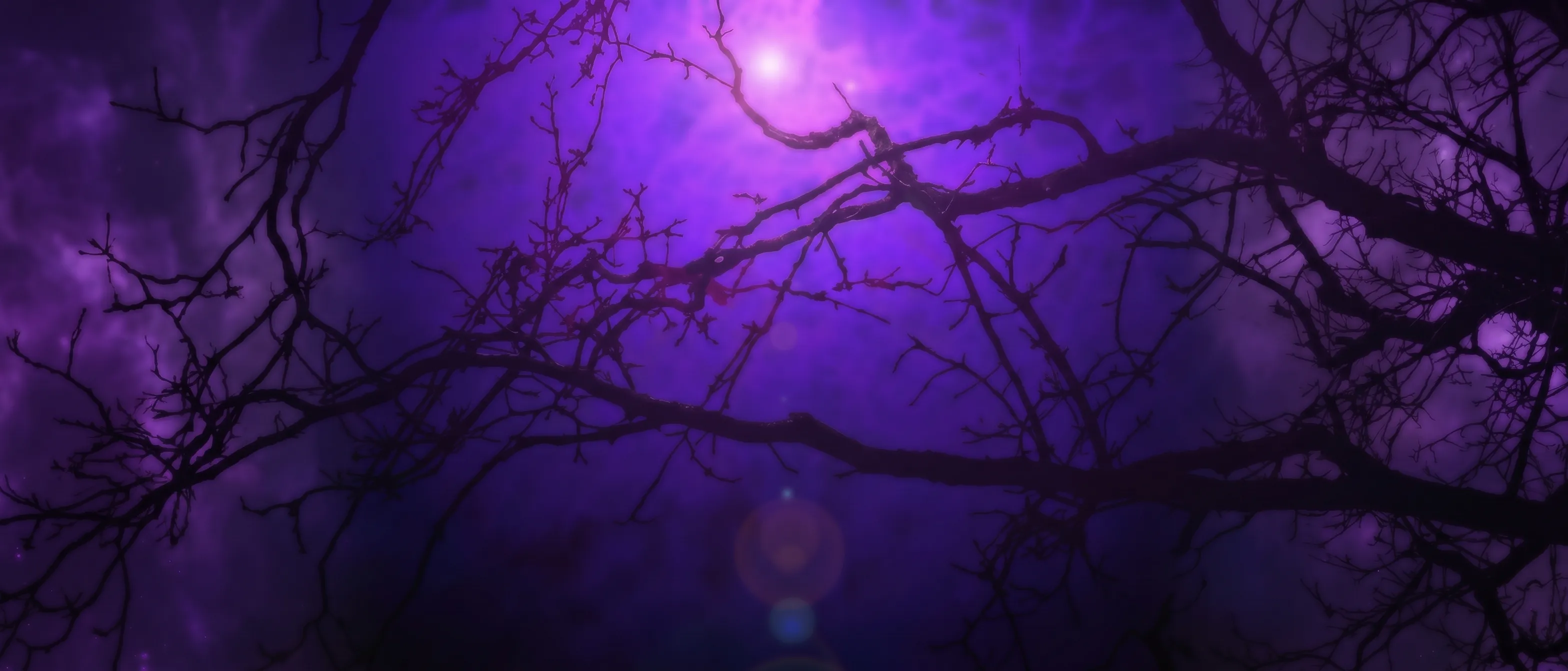 Bare tree branches silhouetted against a glowing violet nebula sky, a soft light breaking through at center